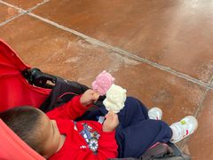 -郑州方特梦幻王国