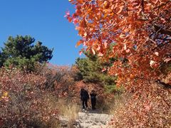 -北京西山国家森林公园