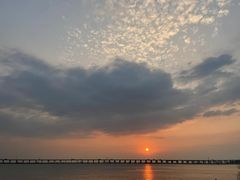 -宝安西湾红树林湿地公园