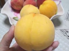 -盒马鲜生(枣园路店)