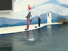 -北戴河圣蓝海洋公园