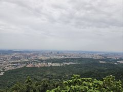 -紫金山山顶公园