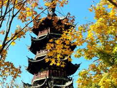 -龙华素斋(龙华路店)