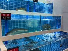 -渔家乐小海鲜(皇姑店)