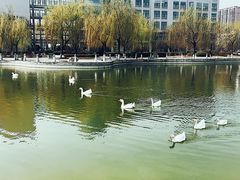 -长安大学(北校区)