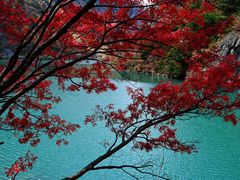 -叠溪松坪沟景区