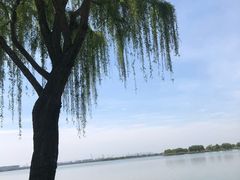 -漕湖湿地公园