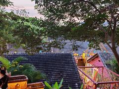 -纳兰傣雀傣味餐厅