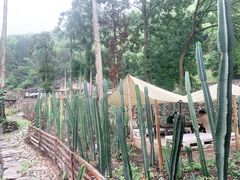 -MOJ coffee(瓯海泽雅水碓坑店)