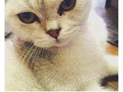 Mikaku-MIKAKU(万达广场上海宝山店)