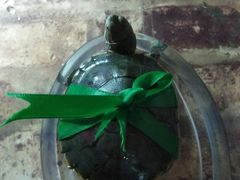 -扬州大学扬子津校区润园餐厅