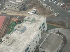 -红杉树紫金幼儿园