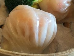 -新世纪大酒楼·30年南海菜