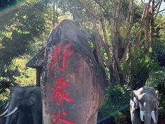 -野象谷景区