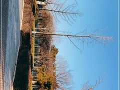 -南海子公园