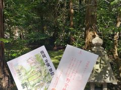 -野宫神社