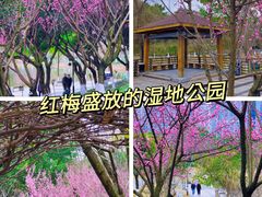-沐仙湖湿地公园
