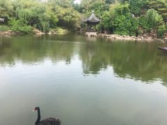 -水绘园