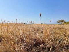 -野鸭湖国家湿地公园