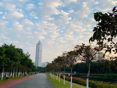 -万绿园
