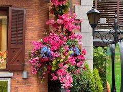 -思南公馆商业街