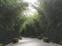 -红螺寺
