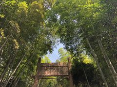 -紫金山天文台