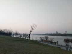 -灞河西岸滨河公园