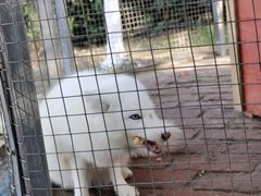 -武汉紫薇都市田园