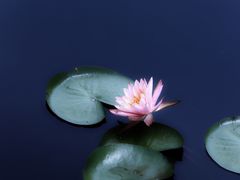 -尚贤河湿地