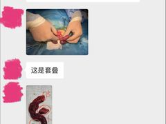 -瑞派雷欧宠物医院·24h夜诊·心脏骨科牙科·全科重症转诊中心(无影山店)