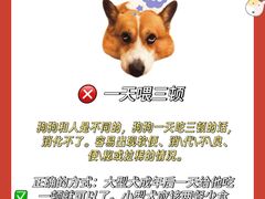 -佩兹宠物医院肿瘤专科·眼科·牙科(黄浦店)
