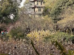 -成都杜甫草堂博物馆