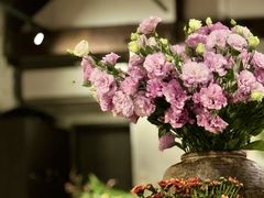 -Apollo·西班牙小酒馆(安福路店)