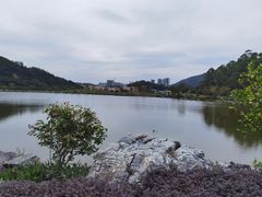 -黄埔油麻山森林公园