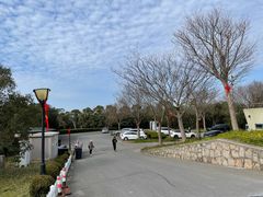 -南汇嘴观海公园