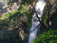 -莫里热带雨林景区