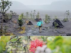 -夏威夷火山国家公园