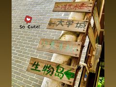 -小洲村