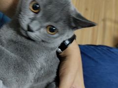 -龟与熊猫宠物公园(南坪店)