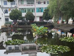 -崇仁古镇