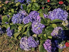 -人民公园(罗湖区)