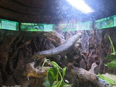 -海南热带野生动植物园