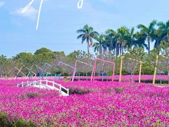 -盈香心动乐园