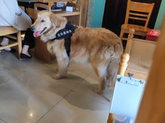 -傣妹火锅(四川北路店)