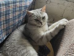 -不舍昼夜咖啡馆