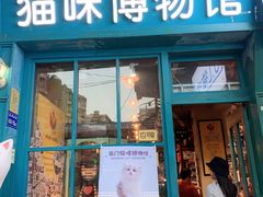 -猫咪博物馆(顶澳仔猫街店)