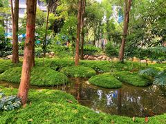 -成都市活水公园