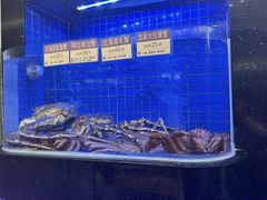 -協成海鮮火鍋(老店)