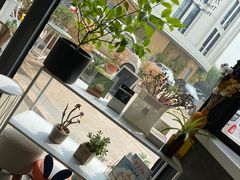 -隹木咖啡馆(宝龙广场店)